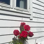 빌라 Cozy House Closw *