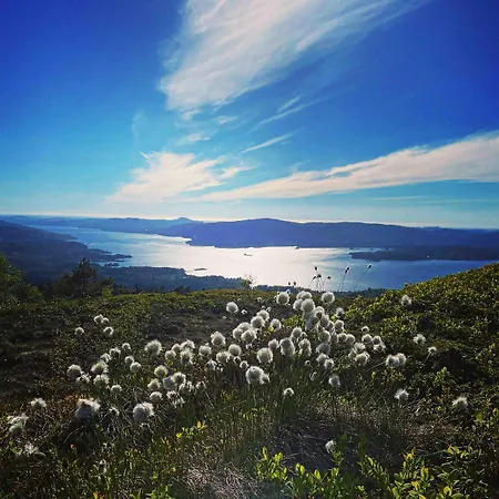 Villa Cozy House Closw *