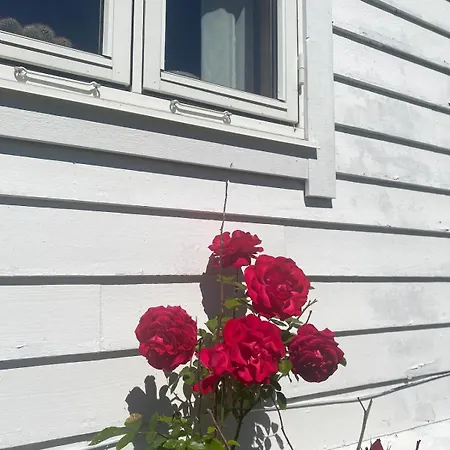 Villa Cozy House Closw *