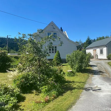 Cozy House Closw Lii