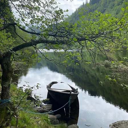 Cozy House Closw Lii